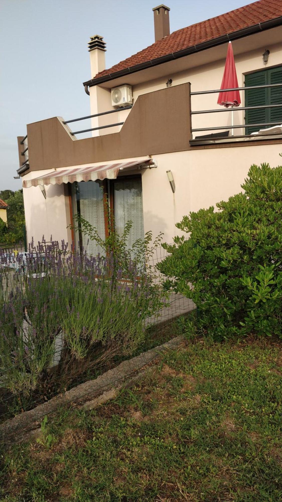 Apartment Lavinia Zadar Extérieur photo